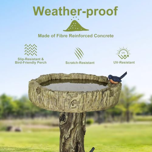 Bird Baths for Outdoor (Woodland with bird)