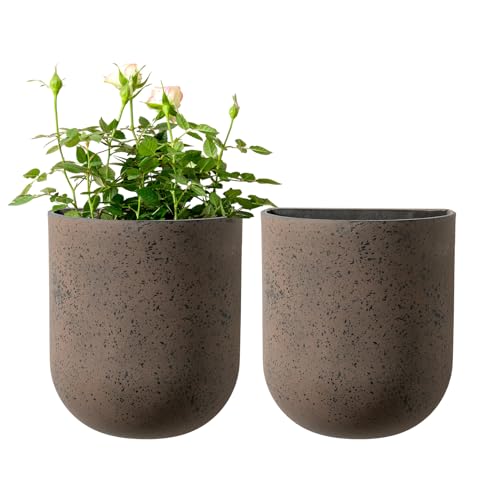 Wall Planters for Indoor Plants (2 Count)