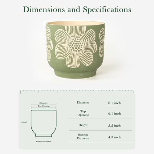 6 Inch Ceramic Plant Pots with Drainage Holes for Indoor Plants (6 Inch - 1 Pack / Modern Green Floral)