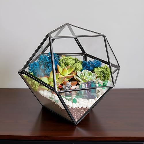 DIY Geometric Glass Terrarium Kit with Moss and Tools