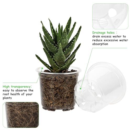 60 Pack 6 Inch Clear Nursery Pots with Drainage Hole (6 Inch)