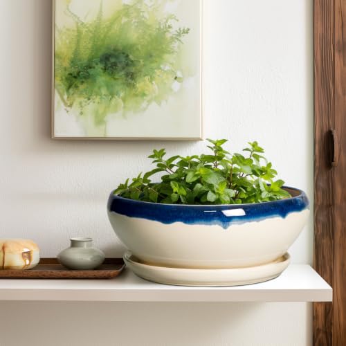Bonsai Tree Pots (12 Inch / Blue-beige)