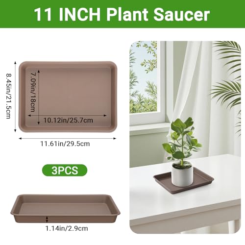 Brown Plant Saucers for Indoors (11 Inch / Brown)