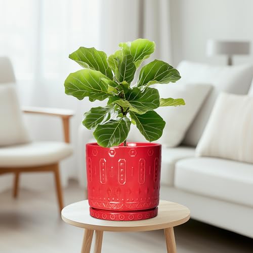 Ceramic Plant Pots (8 Inch / Red)