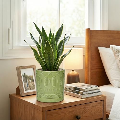 Ceramic Flower Pots (6 Inch / Green - 2)