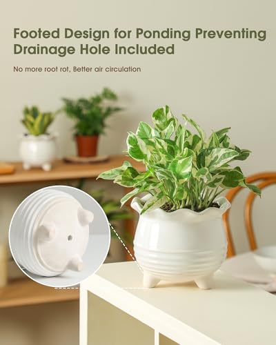 Ceramic Planter (2pcs White)