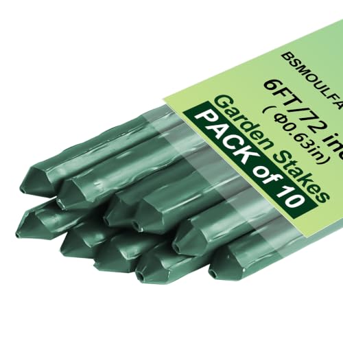 Garden Stakes 6ft (6ft, pack of 10)