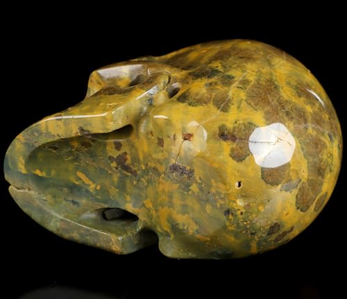 5.0” Ocean Jasper Crystal Skull (5.0 Inches Ocean Jasper 9)