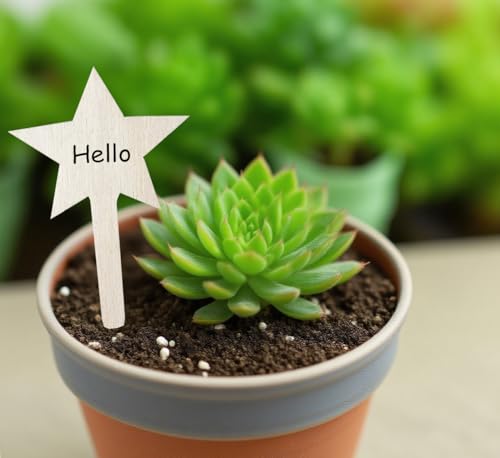 100 Pcs Wood Plant Labels (Star)
