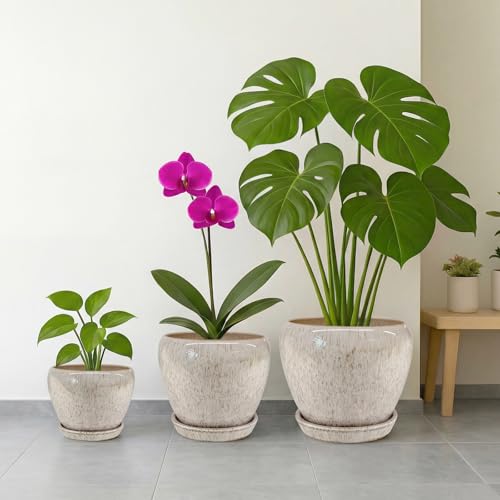 6 Inch Plant Pots (Beige / 6 Inch)