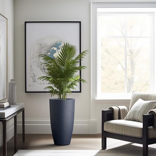 Set of 2 Charcoal Concrete Round Planters 23.6" Tall Home & Outdoor (2 Count)