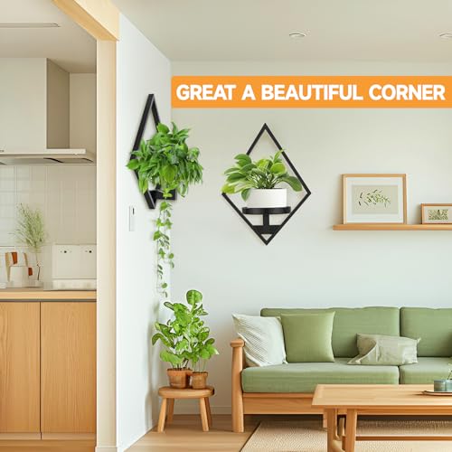 Wall Plant Holder (3 Pack)