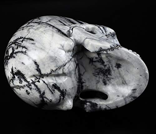 5.0" Black Picasso Crystal Skull (5.0 Inches Black Picasso Jasper)