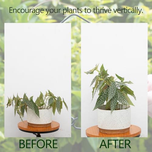 4.13x2.95in Monstera Plant Stem Support (Black / 4.13IN*2.95IN)