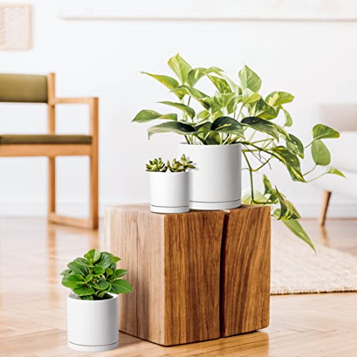 3 Pack White Terracotta Pots & Saucers (4+5+6 Inch / White)