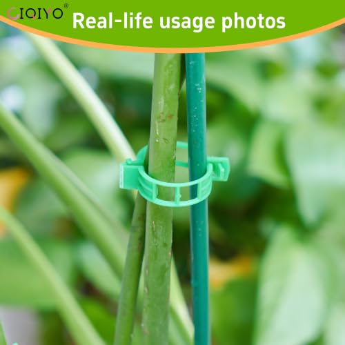 Plant Support Clips (Light Green)