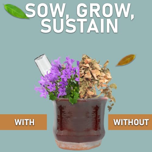Plant Watering Device (12 Pack)