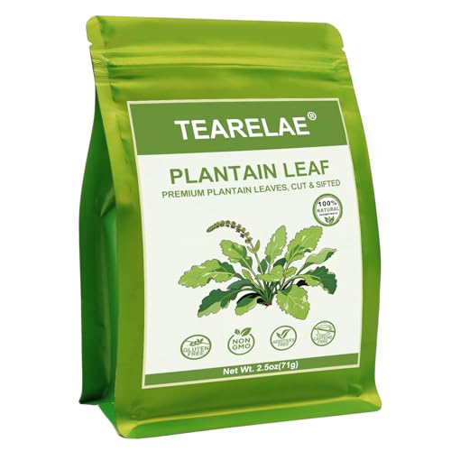 Plantain Leaf (2.5 Ounce (Pack of 1))