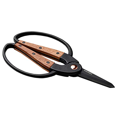 Garden Scissors (Small Garden Scissors)