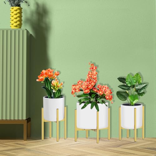 Heavy Plant Stand for 10" (1 - Heavy Duty / Heavy Gold 10-16")