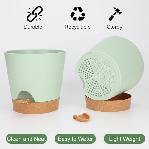 8 Inch Plant Pots (2 Count)