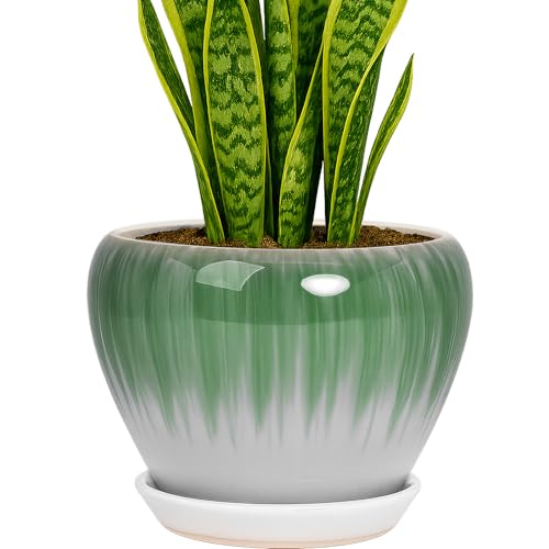 8 Inch Plant Pots