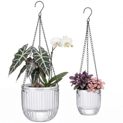 2 Pcs 6.5'' 4.5' Hanging Self Watering Pot for Indoor Plant (Clear / 6.5'' 4.5')