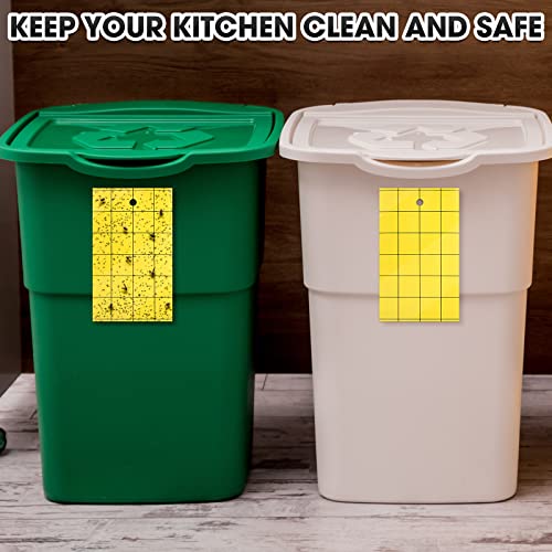 200 Sticky Trap for Gnats 3 x 5'' Dual Side Sticky Fruit Fly Trap with Tie Plant for Flying Insect Fungus Bugs Flying Catcher for Indoor (200 Count)