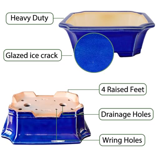 2pcs Green Ceramic Bonsai Planter Pots with Bamboo Tray 6.2 “ & 5.3” (Crackle Glazed 10")
