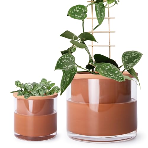 4 Inch 6 Inch Self Watering Plants Pots (4+6 Inch / Terracotta)