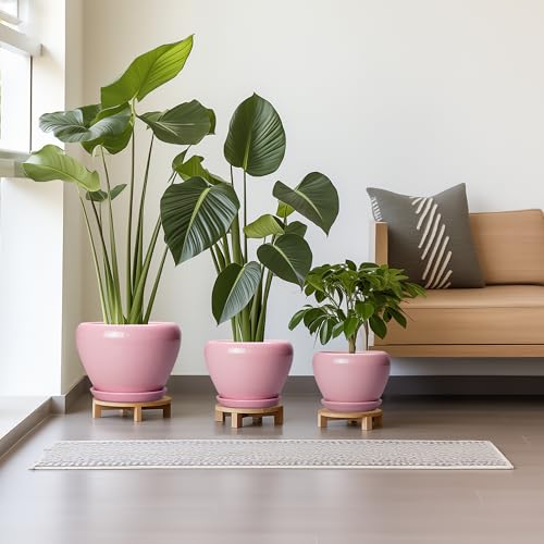 Ceramic Planters (10+8+6 Inch / Pink)