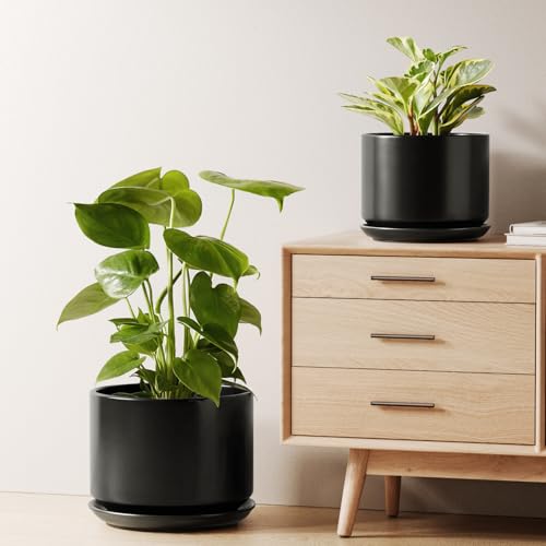 Ceramic Plant Pots (Black / 8"+10")