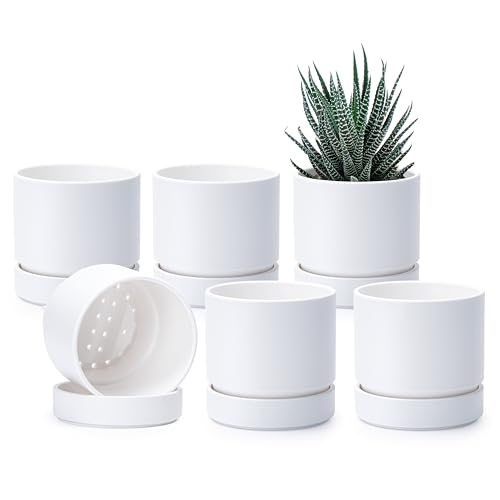 4 Inch Planter Pot with Drainage Hole & Saucer