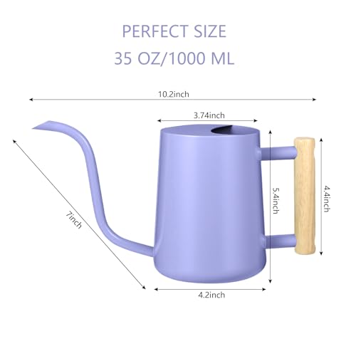 Watering Can Indoor Plants (Purple)
