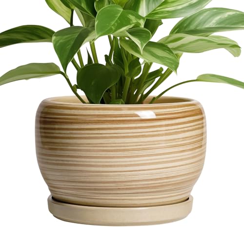 Ceramic Planter