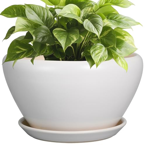 Ceramic Planter (9 Inch / White)