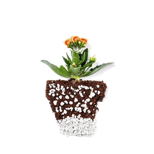 Perlite Bliss (Perlite (1 Cubic Ft))