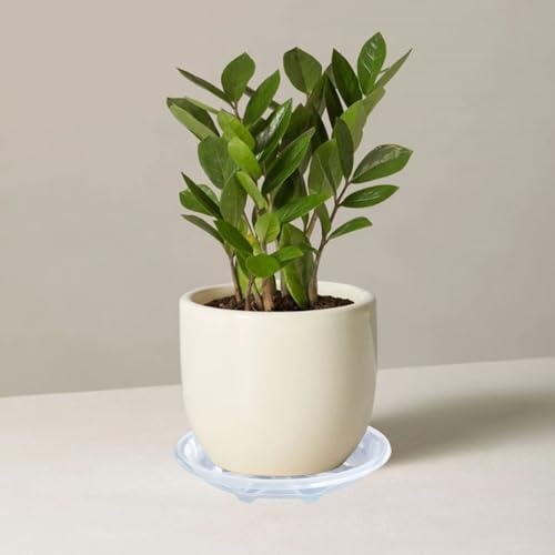 2 Pack of Plant Saucer 8 inch (8in*2 / Clear)