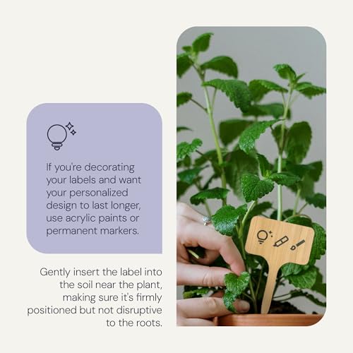 Bamboo Plant Labels & Garden Tags (Long (7"))