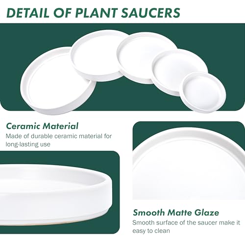 Modern Round 3.7 Inch Ceramic Plant Pot Saucer