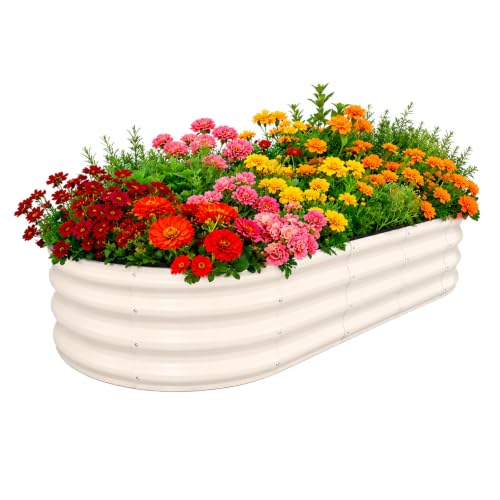 Galvanized Raised Garden Beds Outdoor (White / 6 x 3 x 1 ft)