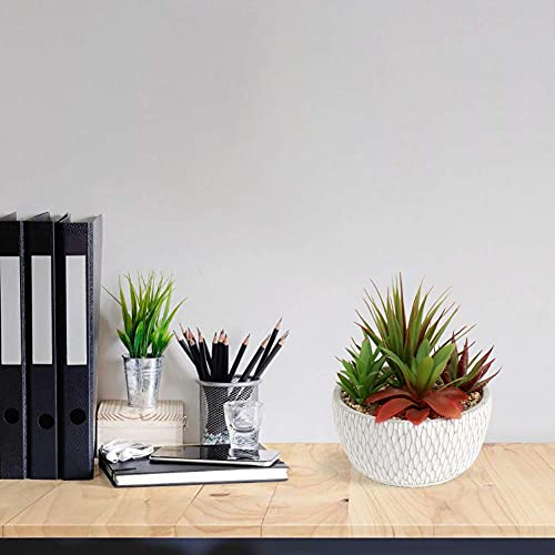 Small Fake Plants Assorted Faux Succulents in Pots Realistic Succulents Plants Artificial with Cement Pots for Home Table Office Desk Bathroom Shelf Living Room Decor (Succulent #02)