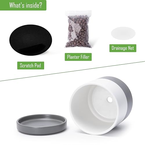 2 Pack Ceramic Pots with Saucers (2 Count)