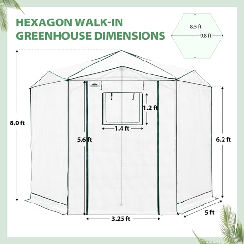 8.5x8.5 Easy Setup Pop Up Greenhouse (Clear/White / 8.5x8.5)
