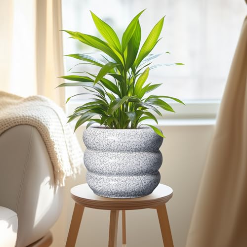Ceramic Pots for Plants