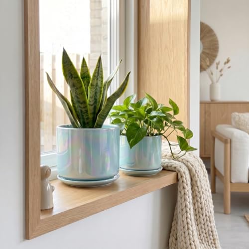 Ceramic Planter 4+5+6 Inch Ceramic Flower pots for Indoor Plants with Drainage (Sky Blue)