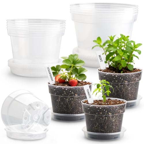 10/8/6 Inch Clear Plant Pots with Drainage Hole 12 Pack, Transparent Sturdy Plastic Nursery Pots with Saucers, Plant Label, Gardening Gloves, Plant Starter Pots for Planting Seed Herb Vegetable Flower (Clear / 10/8/6 Inch-12P)