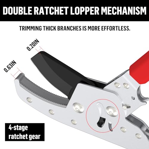 Heavy Duty Extendable Loppers