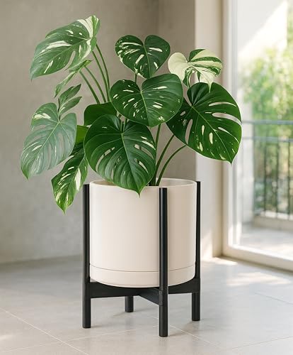 Ceramic Pot with Ebony Wood Stand (14 Inch / Oatmeal Pot + Ebony Stand)