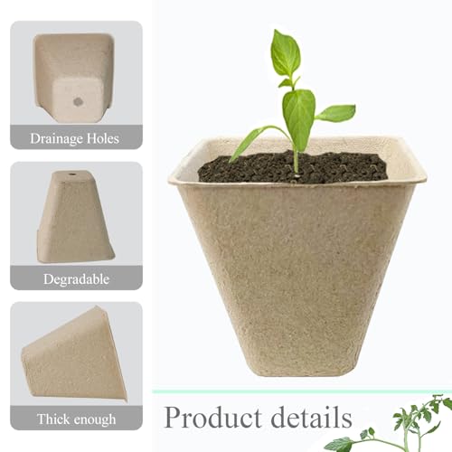 50Pcs Biodegradable Seedling Pots Seed Starter Kit 3.15 Inch Square Peat Pot with Drainage Holes (Square (With Labels, Picker, and Shovel))